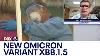 Expert Says The New Omicron Variant Xbb 1 5 Is Like A Suction Cup Fox6 News Milwaukee